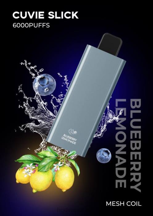limonata ai mirtilli